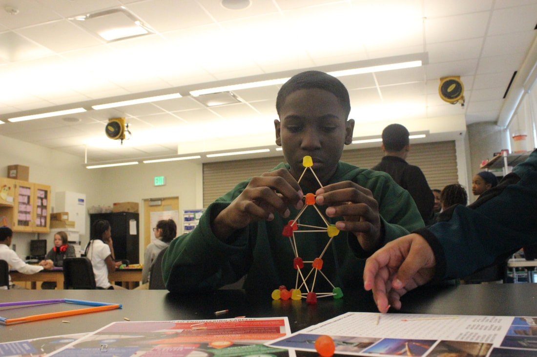 A student builds a tower out of gum drops and toothpicks in a school science lab.